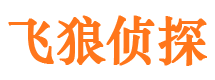 六安市调查公司